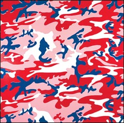Andy Warhol's 'Camouflage'
