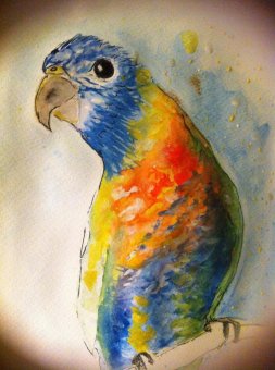 Tonto the Watercolor Bird